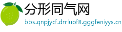 分形同气网